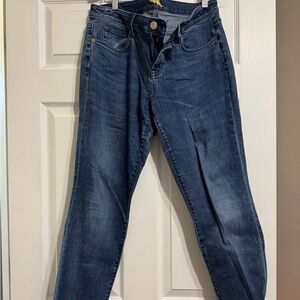 Tommy Bahama Women's Straight Leg Jeans in Dark Blue